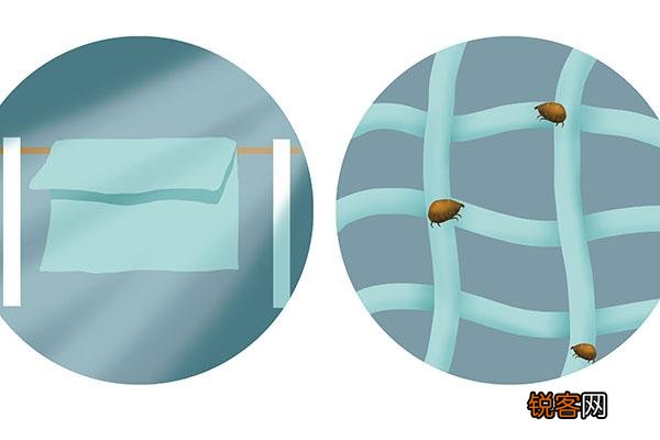 螨虫感染皮肤的症状 想要祛除尘螨怎么办