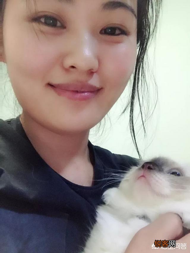 如何养好一只猫？需要注意什么？
