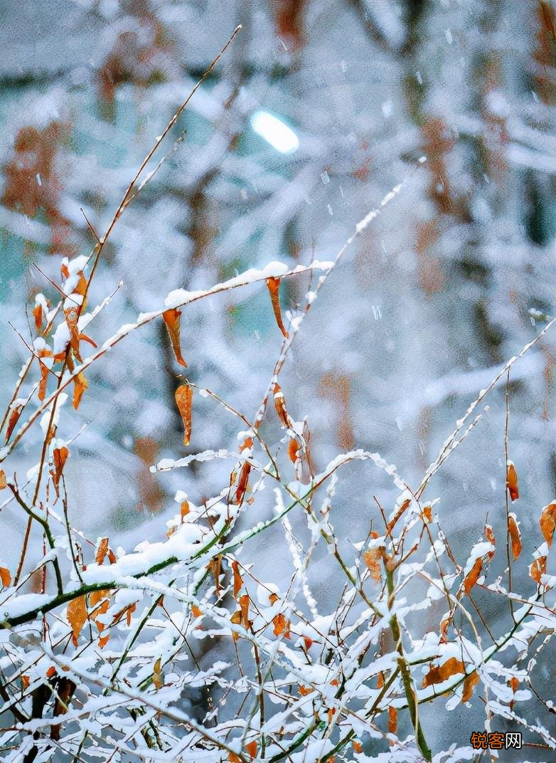 关于初雪的诗词 适合下雪天发朋友圈的句子