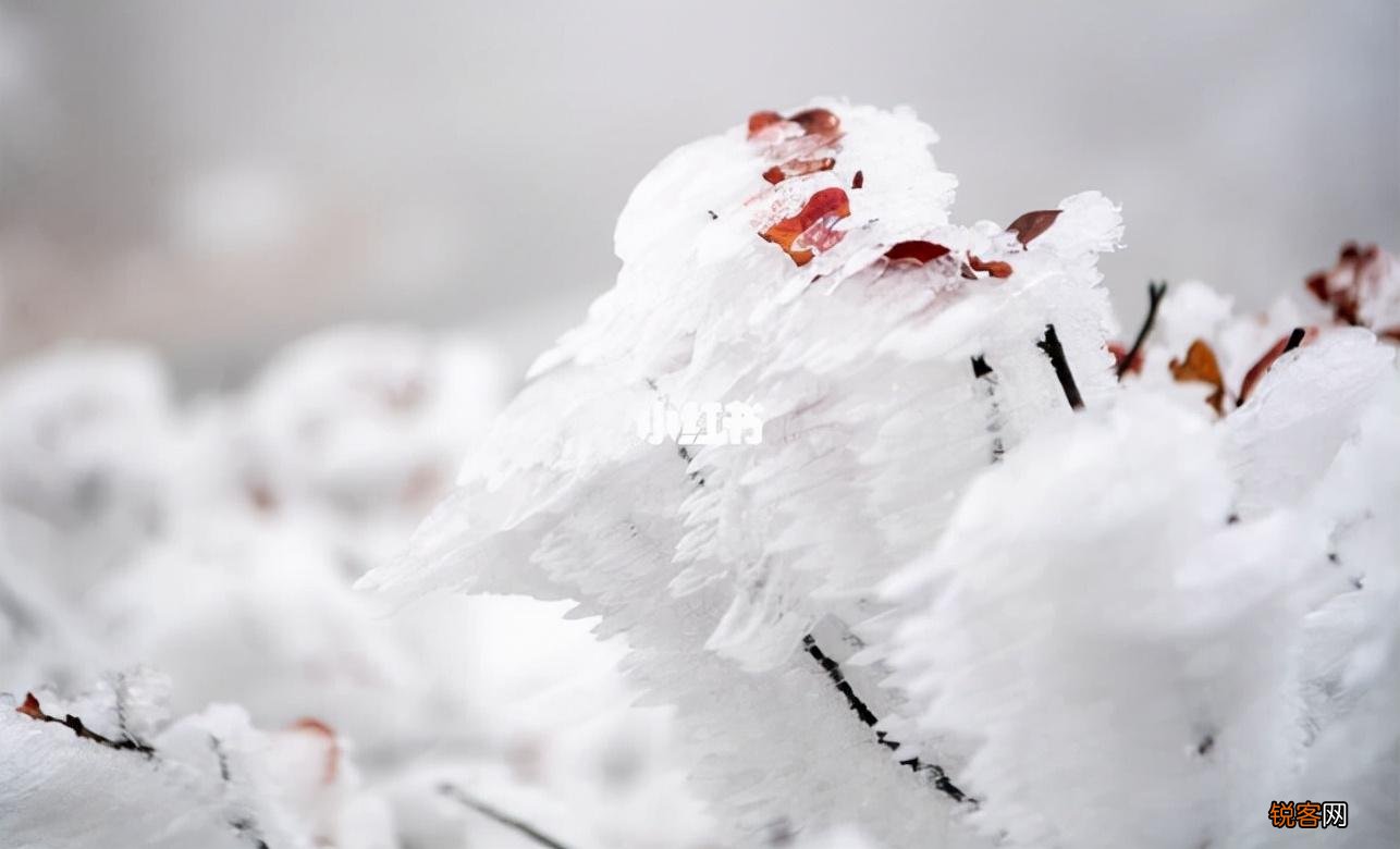 关于初雪的诗词 适合下雪天发朋友圈的句子
