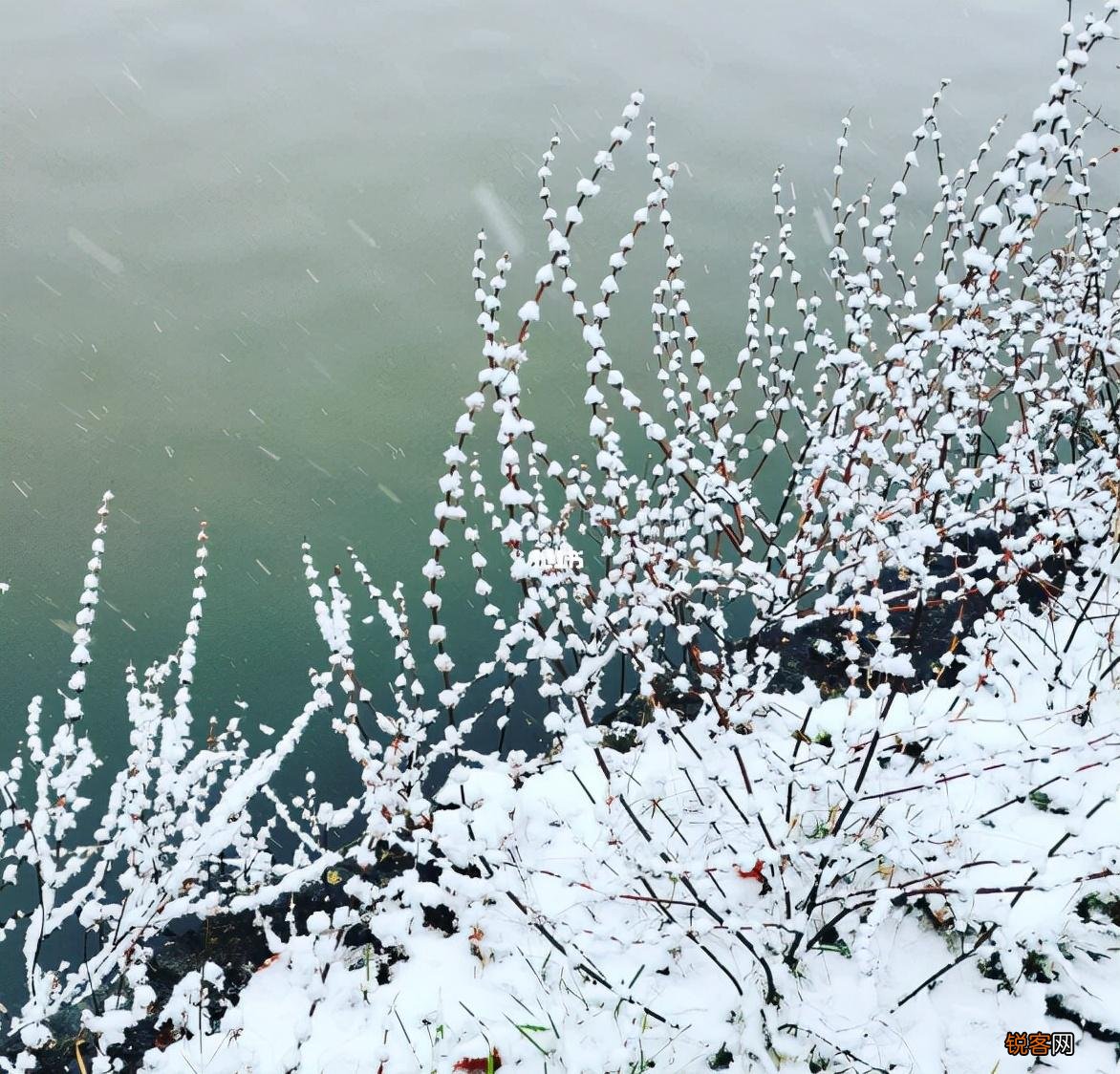 关于初雪的诗词 适合下雪天发朋友圈的句子