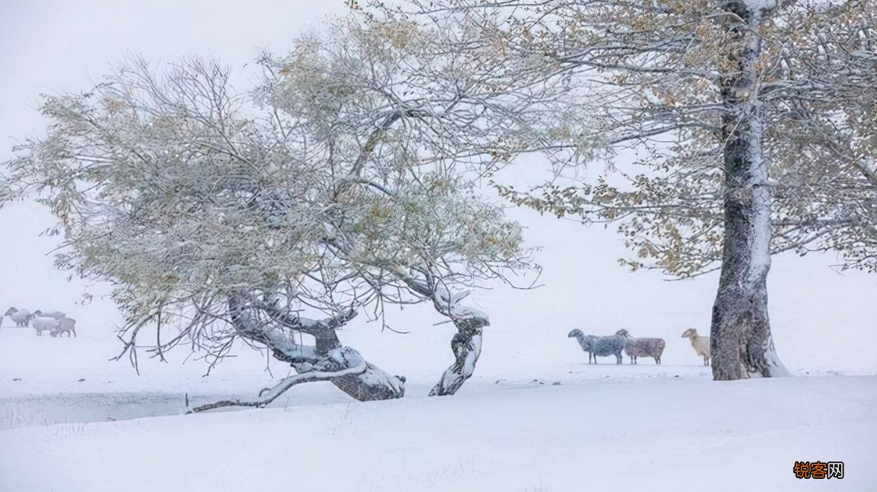 关于初雪的诗词 适合下雪天发朋友圈的句子