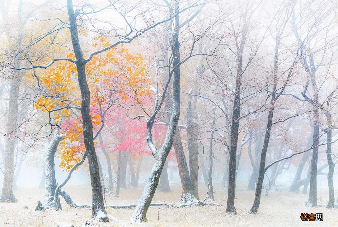 关于初雪的诗词 适合下雪天发朋友圈的句子