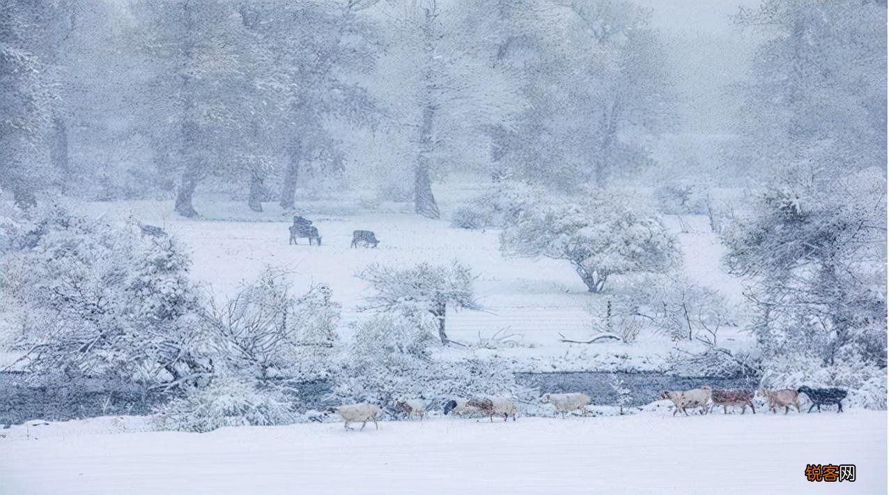 关于初雪的诗词 适合下雪天发朋友圈的句子