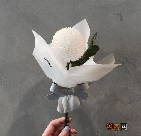 写给女朋友的浪漫情书 句句饱含深情