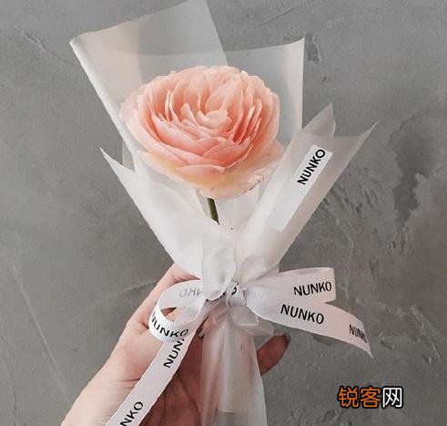 写给女朋友的浪漫情书 句句饱含深情