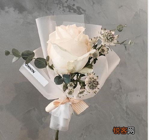 写给女朋友的浪漫情书 句句饱含深情