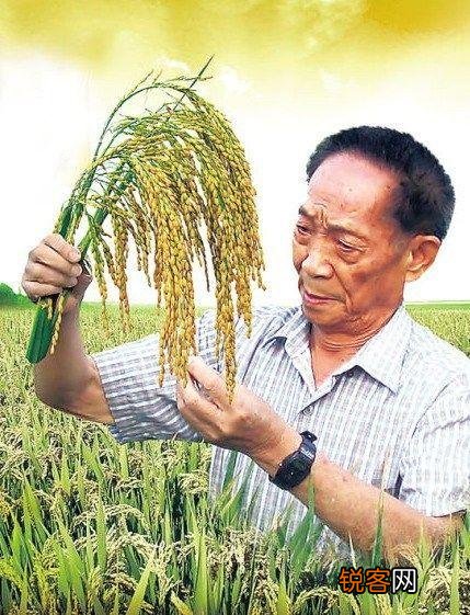 为什么袁隆平老人逝世会轰动全国？