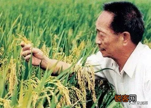 为什么袁隆平老人逝世会轰动全国？