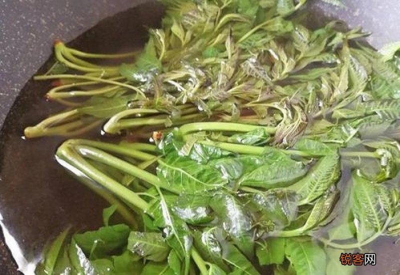 香椿怎么保存时间长的好方法 香椿属于什么植物
