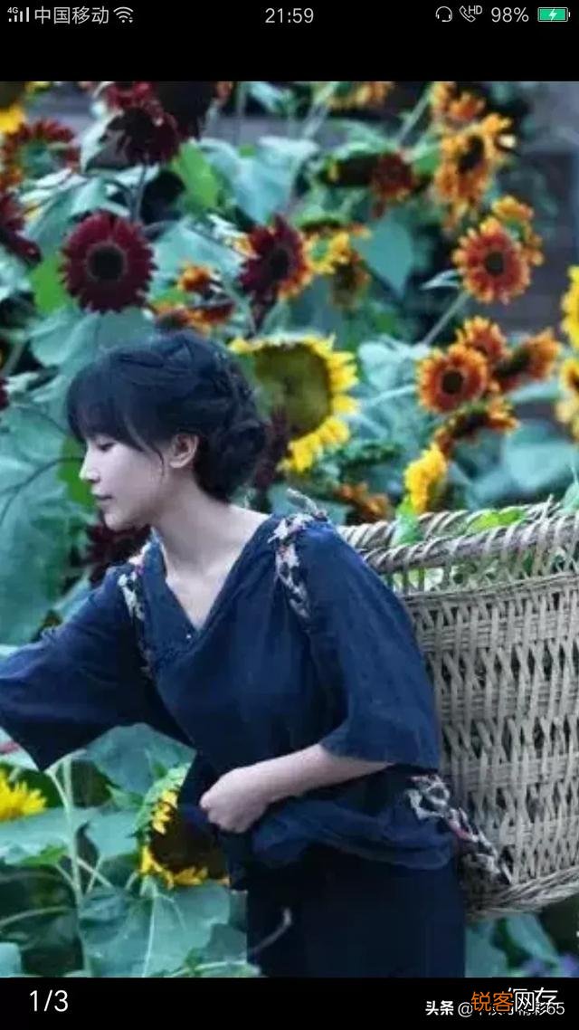 你认为谁是头条上的第一网红？为什么？