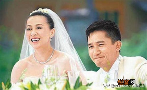如果你是梁朝伟,你会选择张曼玉还是刘嘉玲？为什么？