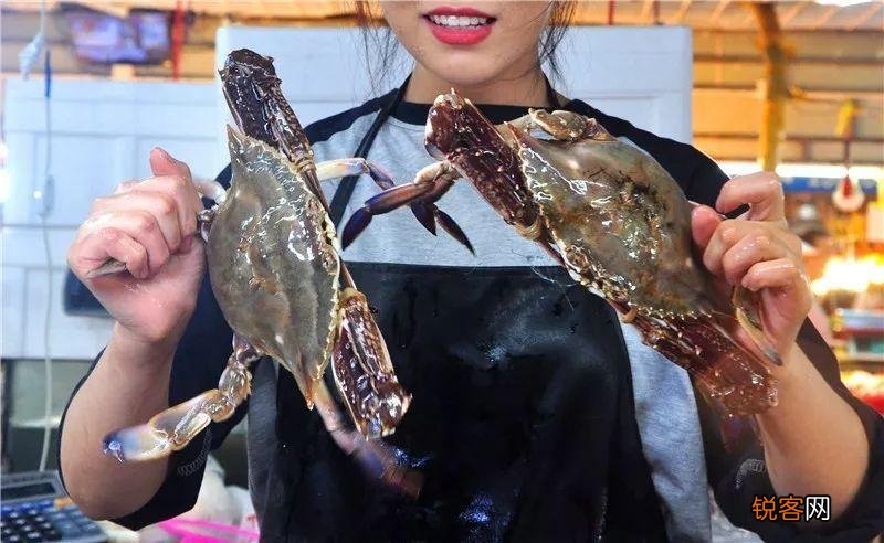 螃蟹女是什么意思 她们都有什么特点