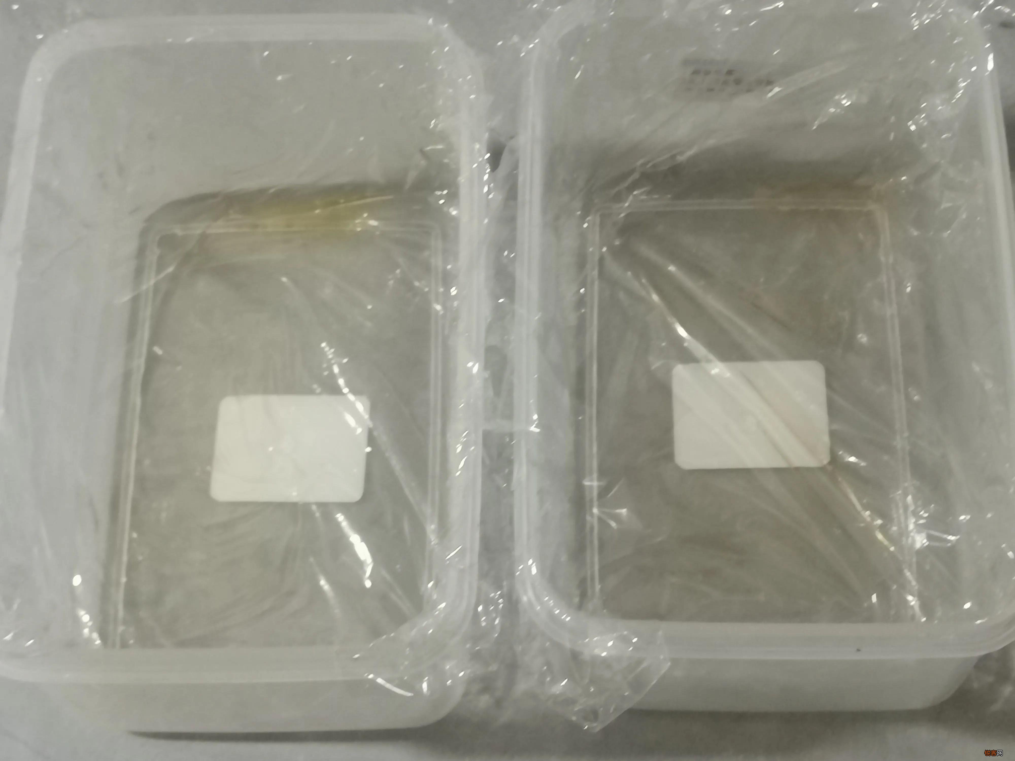 详细图文教程 自制阿胶糕的做法