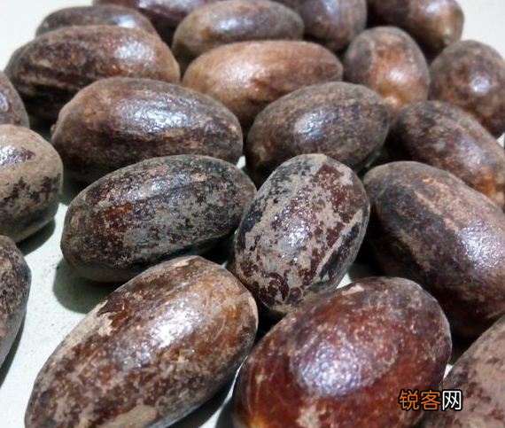 常用香料的名称与用途 香料的用法用量搞明白了
