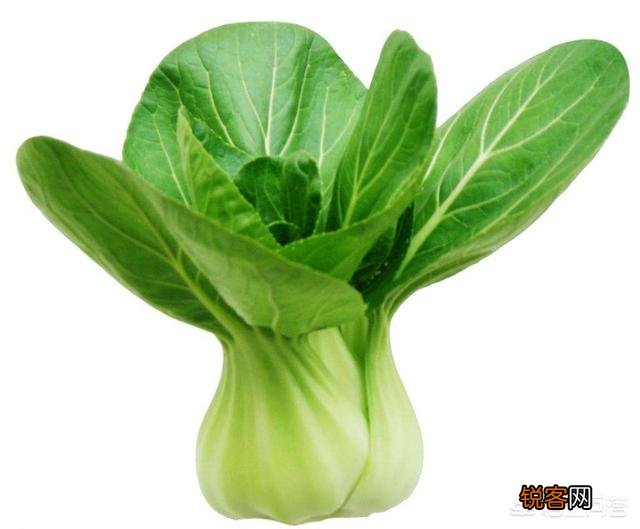 有没有什么好的减肥食谱？