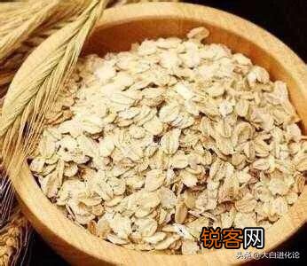 高碳水日选择什么碳水化合物最好？