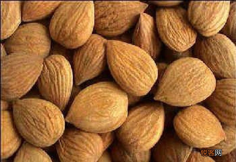 杏仁是杏子里面的仁吗 杏仁的热量多吗