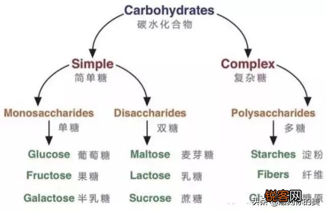 减肥健身女性如何补充碳水？