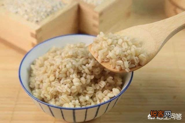 减肥期间,有哪些食物可以代替米饭？