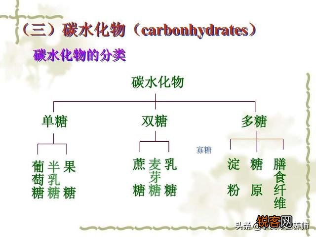 什么是碳水化合物？含高碳水化合物的食物有哪些？