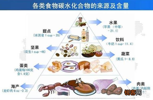 碳水化合物都包括什么?