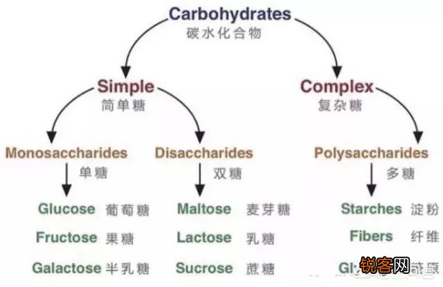 健康减脂,如何选择优质碳水化合物？