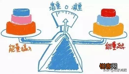 减肥期间油脂类不能吃,碳水化合物的米面谷物不能吃,是不是就只能吃蛋白质和蔬菜了？