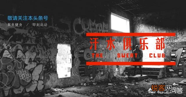 增肌的同时又想减脂,饮食应该怎么安排？