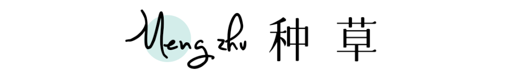 春季鞋子推荐 显瘦显腿长，好看到尖叫