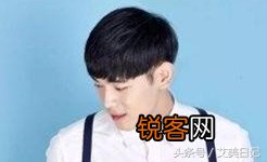 理发只会说剪短点 这些术语你得会
