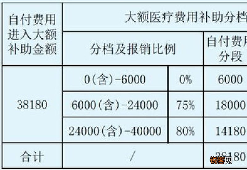 2023洛阳职工大额医疗费用补助怎么缴费？