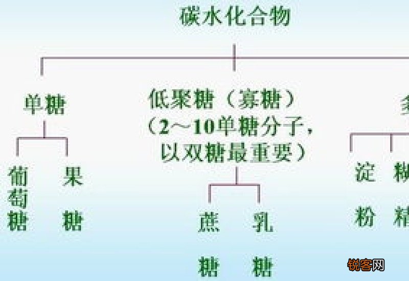 碳水化合物是指什么意思 含有碳水化合物的常见食物有哪些