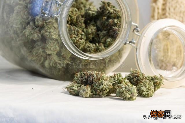 乌拉圭是个怎样的国家？