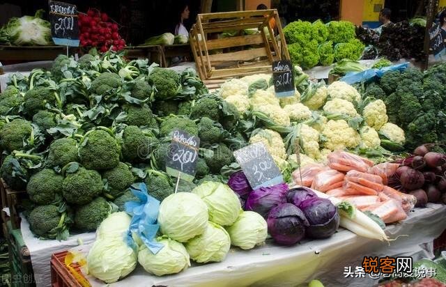 乌拉圭是个怎样的国家？
