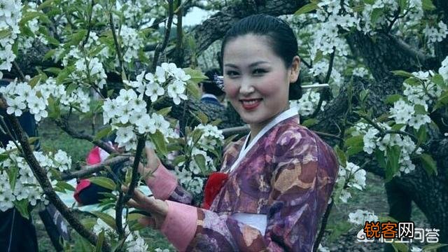 哪里的美女最多？