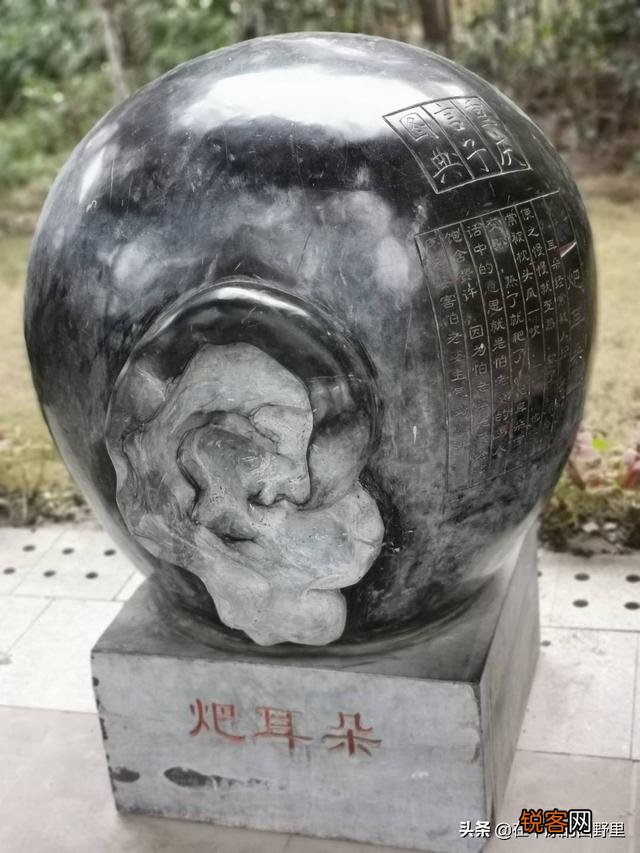 重庆 最经典的四川方言有哪些？