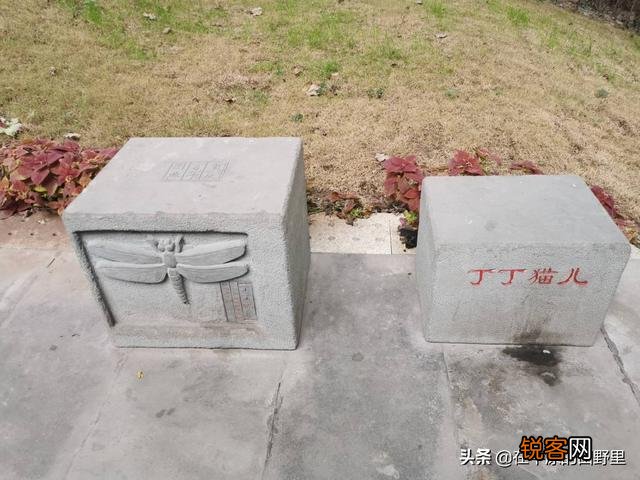 重庆 最经典的四川方言有哪些？