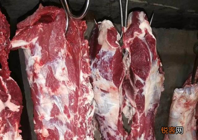 重庆 最经典的四川方言有哪些？