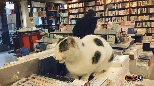 宁波有哪些非要高大上的书店？