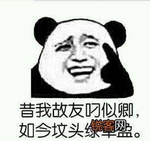 如何有教养的去骂人？
