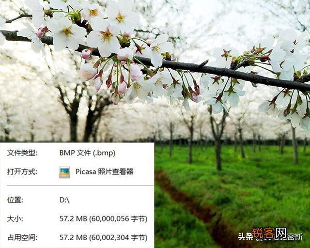 png与jpg的区别是什么？