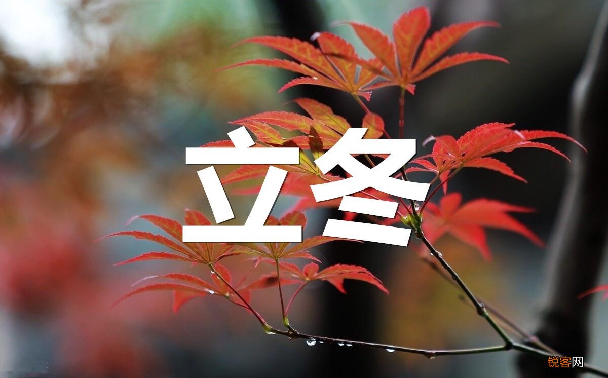 立冬吃什么传统食物 立冬不只吃饺子