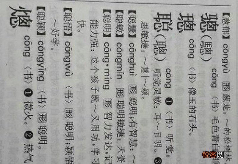 从组词_从的组词_从怎么组词