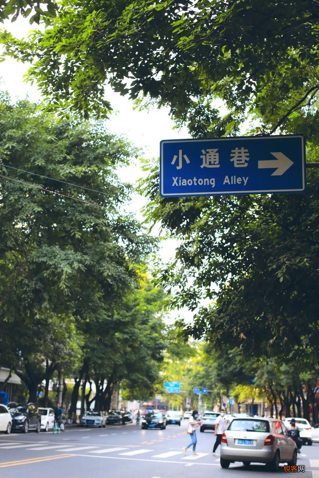 成都本地人常逛的街 美食聚集，拍照好看！