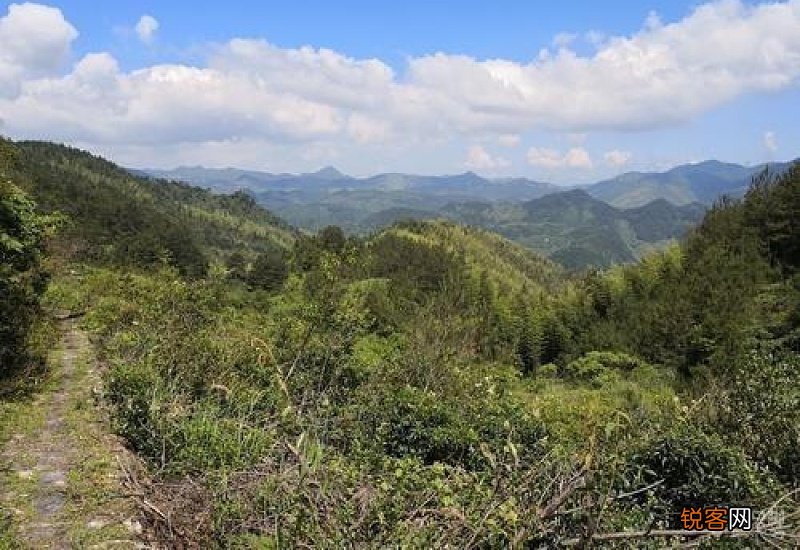 岭组词_岭的组词_岭怎么组词