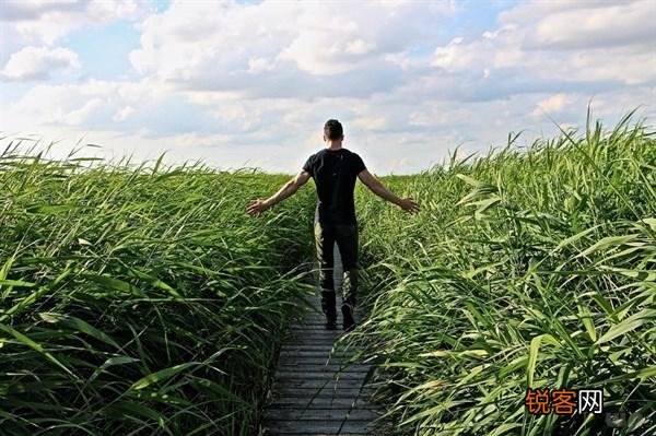 怎么缓解工作压力 有效化解压力的方法
