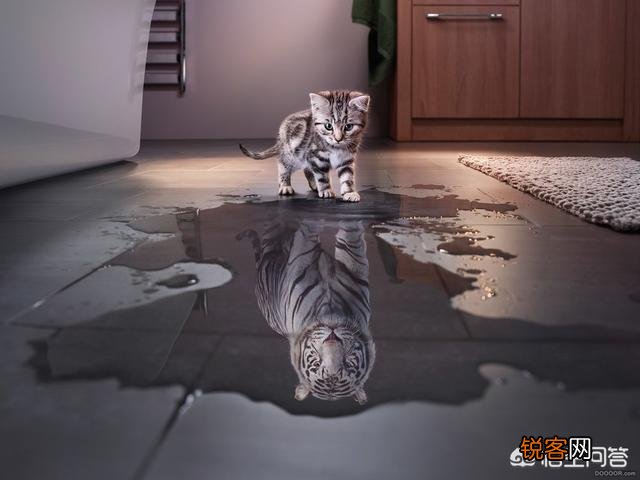 又自卑又自负的人是什么样的？