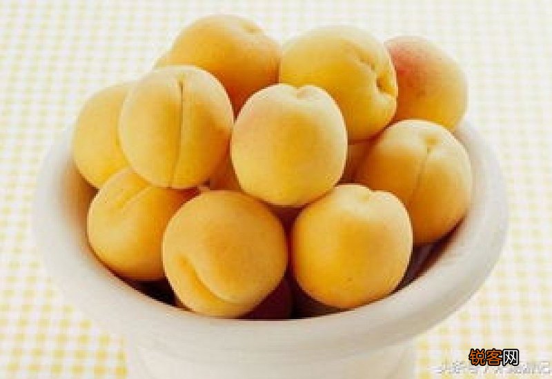 杏子的功效和作用有哪些 杏子有哪些功效作用呢