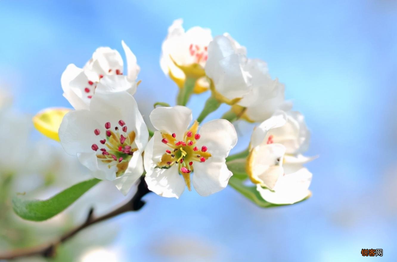 最有女人味的星座 年纪越大越有魅力